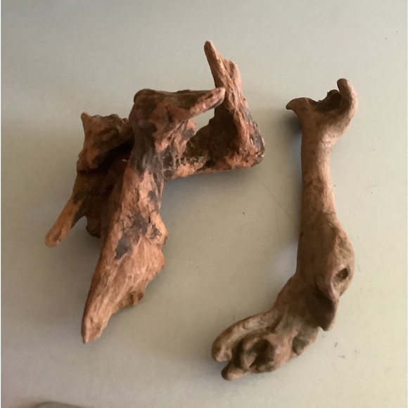 Terrarium safe Driftwood - Picture 2 of 2